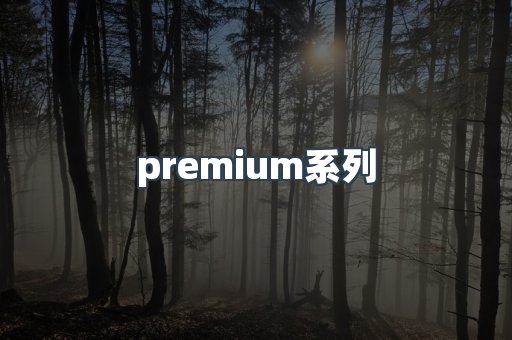 premium系列